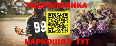 apvp Обь