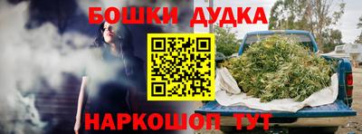 apvp Обь