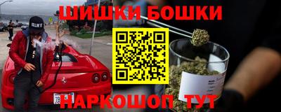 apvp Обь