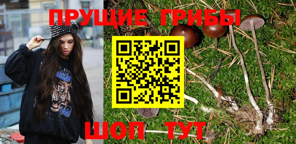 Псилоцибиновые грибы Magic Shrooms  Вход с VPN  Холмск 